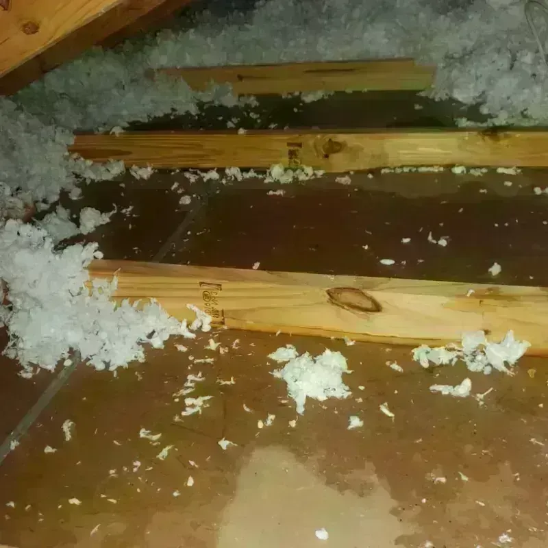 Attic Water Damage in McNairy County, TN