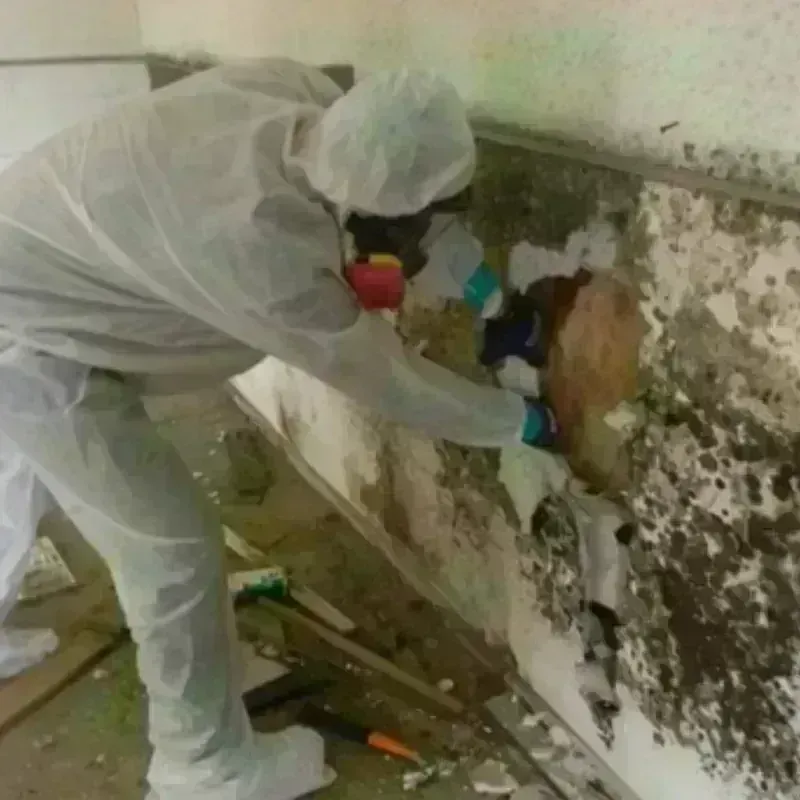 Best Mold Remediation and Removal Service in McNairy County, TN